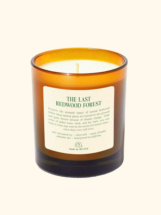 The Last Redwood Forest Candle