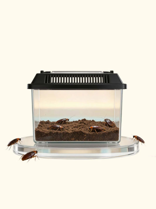 Last Resorts: Cockroach Farming Starter Pack
